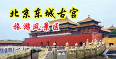 插我操屄中国北京-东城古宫旅游风景区